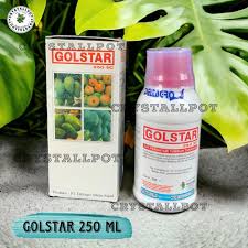 Golstar 300