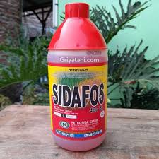 Sidafos