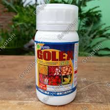 Golex 250