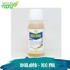 buldok 100ml