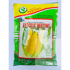 Exsotic Pertiwi kacang