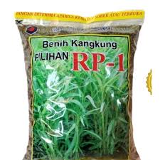 Benih kangkung pilihan