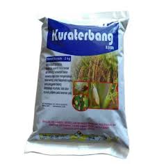 Kura terbang