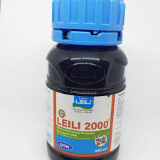 Leili 250