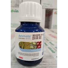 Ammate 50 ml