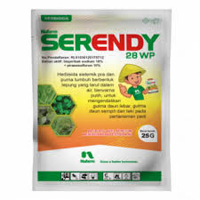Serendy