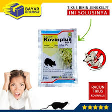 Kovin+Sac