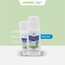 Belt 100ml