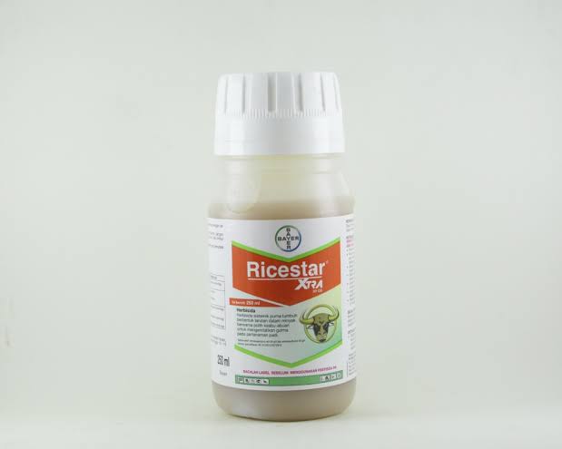 ricestar 100ml