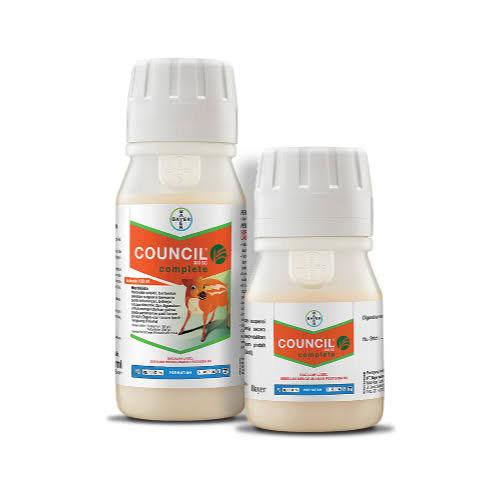 countcil