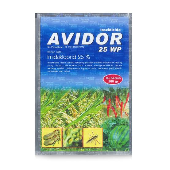 Avidor 25wp 100gr