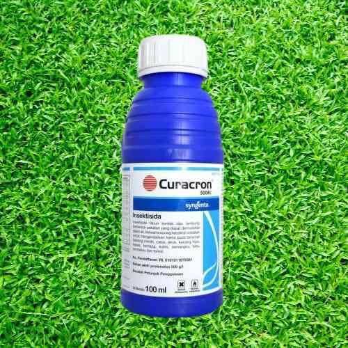 curacron 100