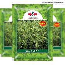 Kangkung serimpi