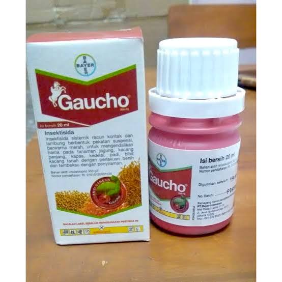 gaucho 10