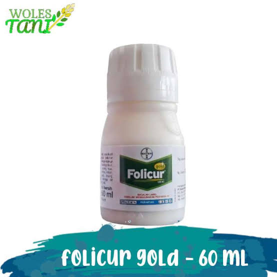 folicur 60