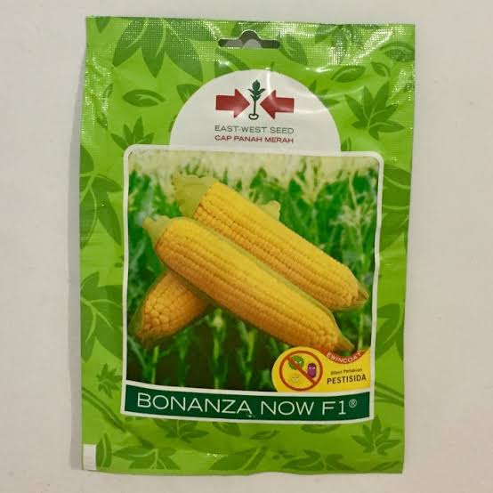 jagung bonanza F1 1800