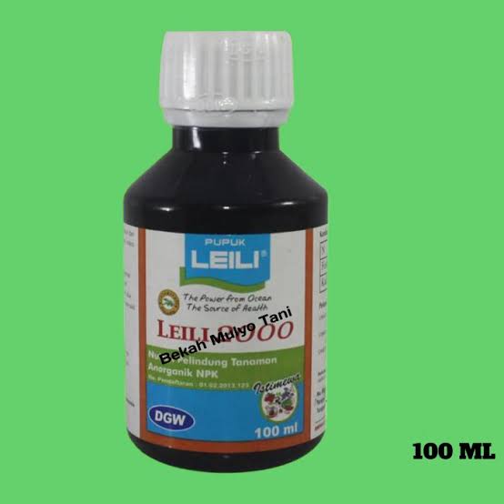 leili 100