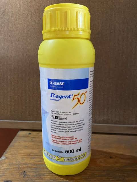 regent 500ml