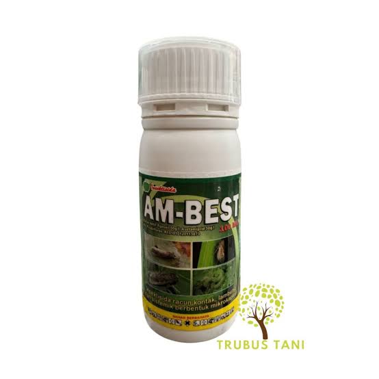 ambest 100ml