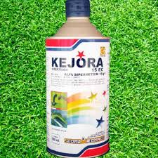 kejora
