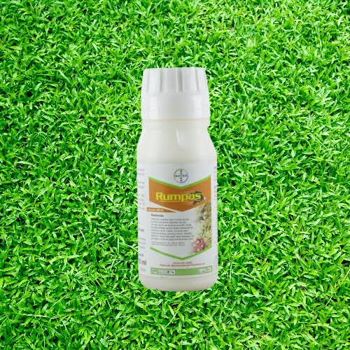 Rumpas 100ml