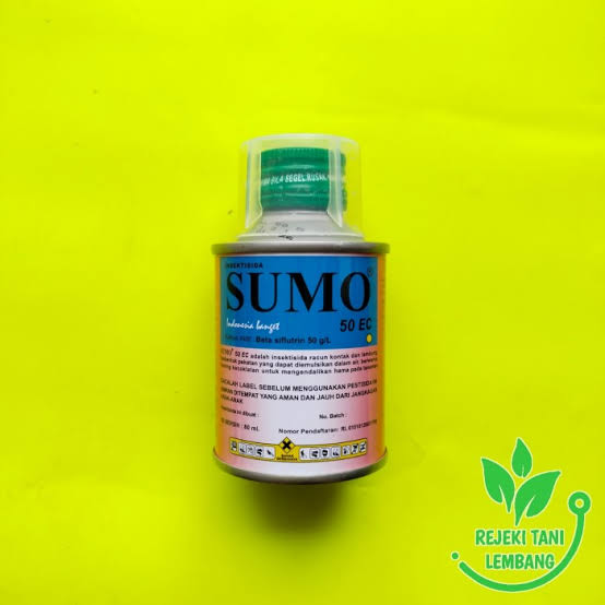 sumo 300ml