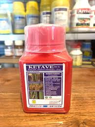 Katave