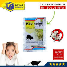 Kovin+Sac