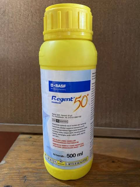 regent 500ml