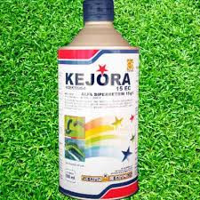 kejora