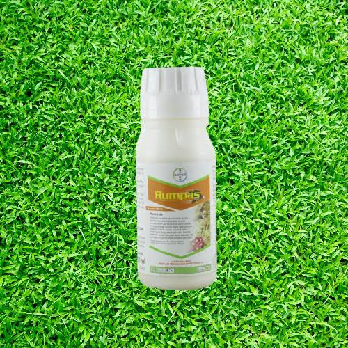 Rumpas 100ml